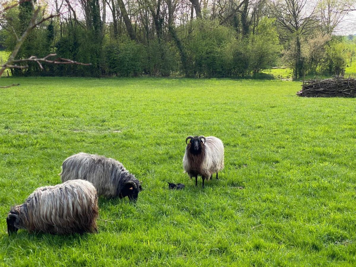 Paardenhuisje Villa Sint-Lievens-Houtem Esterno foto